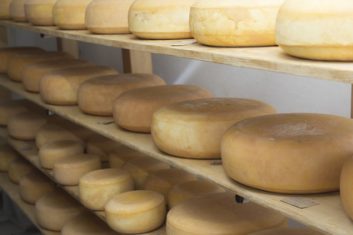 Real production of smoked cheese